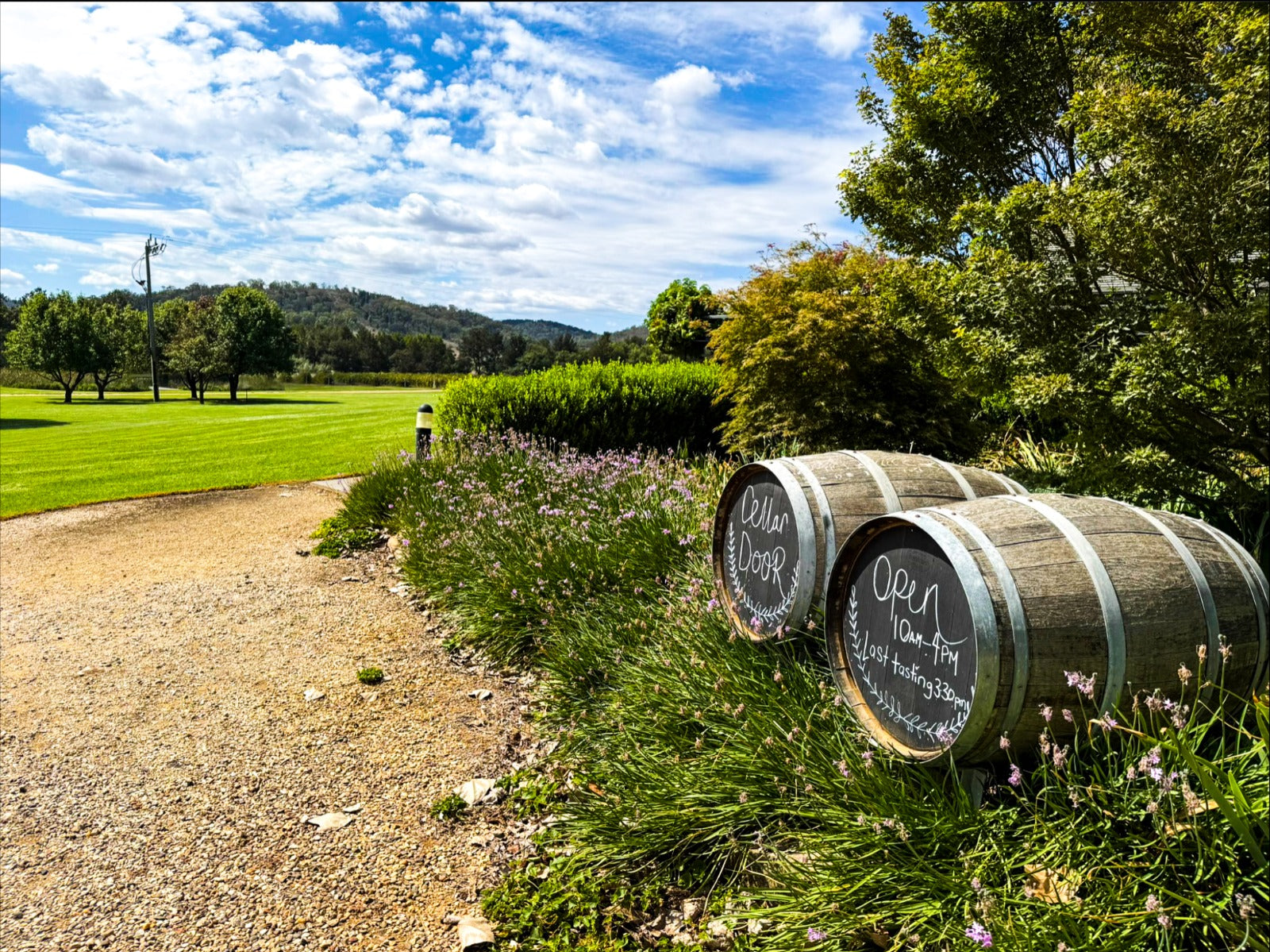 Bunnamagoo Estate Wines cellar door in Mudgee with manicured lawns and vineyard views, a family-friendly winery perfect for Easter long weekend visits with kids