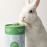 White rabbit with a 'Happy Easter' pet treat container on a white background